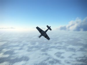 IL-2